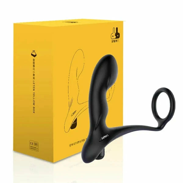 PM1 - Leten Raptor Ergonomischer Prostata-Massager mit Hollow-Body & Vibrations-Track – High-Tech