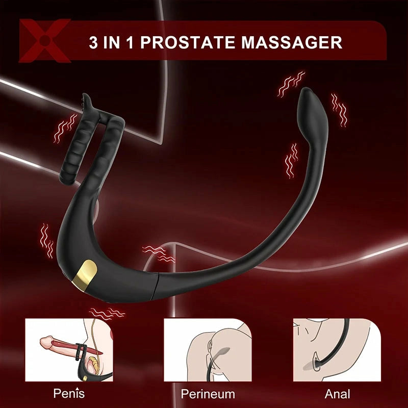 PM2 - 3-in-1 Smart Prostata-Massager mit Dual-Motor, Cockring & App-Steuerung